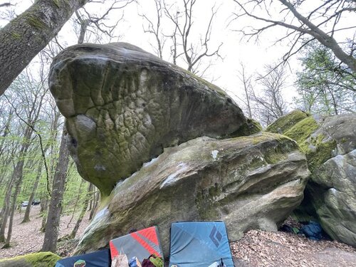 Image of La Baleine (direct assis) (7b)